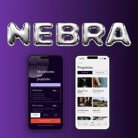 Proyecto desarrollado para Nebra